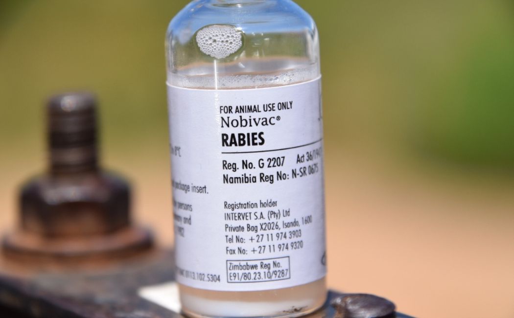 Fatal Rabies Following Dog Bite – 1050x650px
