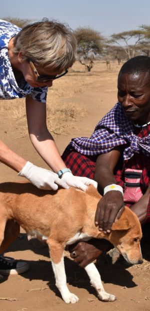 Administering-Vaccine Extreme Sports Bike