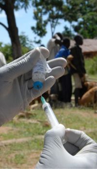 Rabies - Rabies Free Africa
