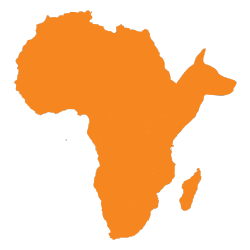 RFA – africa – Icon – orange (250 x 250 px)