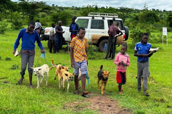 WSU Mission Children walking with dogs