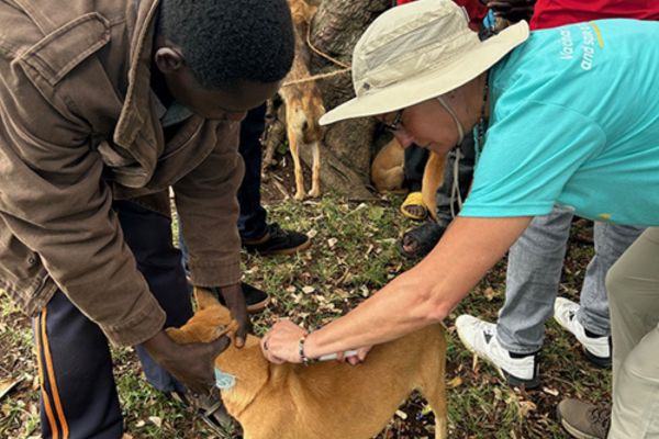 Robyn Steiner administering vaccine