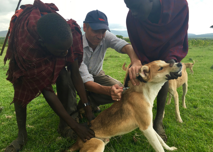 Volunteer giving dog vaccine