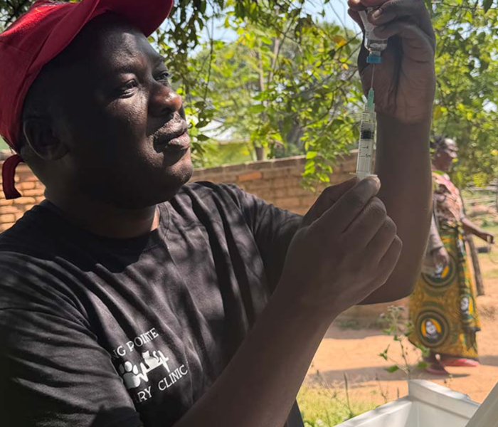 Ahmed Lugelo prepares a rabies vaccine